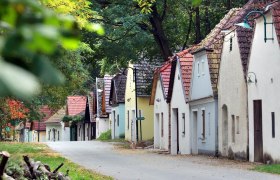 Reihe von Weinkellern in einer grünen, bewaldeten Umgebung.