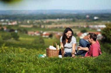 Picknick Weingarten, &copy; www.weinfranz.at
